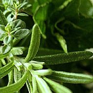 tickle your tastebuds...